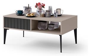 Konferenční stolek se zásuvkou RONJA 100x60 cm taupe/černá