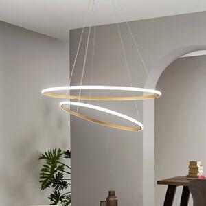 Luce Ambiente Design Závěsné LED světlo Axis, Ø 80/60 cm, zlatá barva, kov,, Mosaz / zlato, Obývací pokoj / jídelna, kov, Moderní