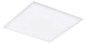 STROPNÍ SVÍTIDLO, 43,7/43,7/6,2 cm Eglo - Online Only svítidla, Online Only