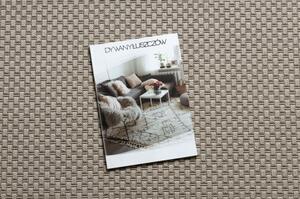 Dywany Luszczow Kusový koberec TIMO 6272 SISAL venkovní béžový Rozměr koberce: 80 x 150 cm
