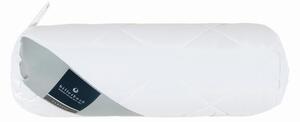 VÁLCOVÝ ANATOMICKÝ POLŠTÁŘ 15/40 cm Billerbeck - Anatomické polštáře
