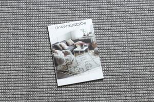 Dywany Luszczow Kusový koberec TIMO 5979 SISAL venkovní rám světle šedá Rozměr koberce: 80 x 150 cm