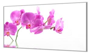 Ochranná deska květy růžová orchidej - 52x60cm / S lepením na zeď