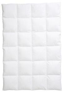 ZIMNÍ PŘIKRÝVKA, 135/200 cm, kachní prachové peří, kachní peří Centa-Star - Přikrývky, Online Only