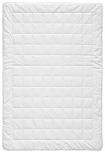 LETNÍ PŘIKRÝVKA, 135/200 cm, polyester, bambus Billerbeck - Přikrývky, Online Only
