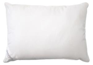 POLŠTÁŘ POD HLAVU, 70/90 cm Sleeptex - Polštáře pod hlavu