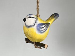 Ptáček na větvičce sýkorka modřinka