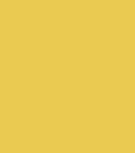 Metráž látka bavlna jednobarevná žlutá | RTex