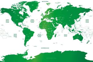 Tapeta mapa světa s jednotlivými státy v zelené barvě