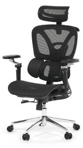 Ergonomická kancelářská židle EXECUTIVE - černá síťovina