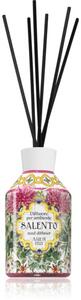 Rudy - Le Maioliche Salento aroma difuzér s náplní 250 ml