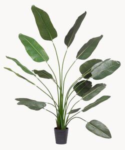 Exteriérová umělá rostlina Strelitzia