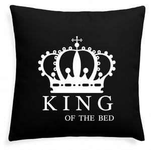 XPOSE® Mikroplyšový povlak na polštář KING (digitální tisk) 40x40 cm