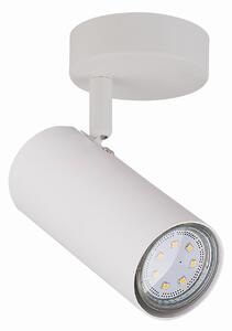 Candellux Bílé stropní/nástěnné svítidlo Colly pro žárovku 1x GU10 91-01603