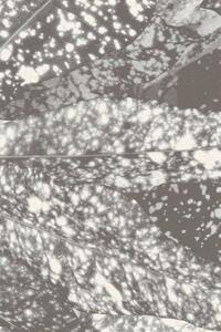 Kusový koberec vlněný Agnella Tempo Natural Kroton (binding) šedý Rozměr: 133x195 cm