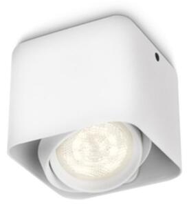 PH 53200/31/16 Afzelia BODOVÉ SVÍTIDLO 53200/31/16 - Philips