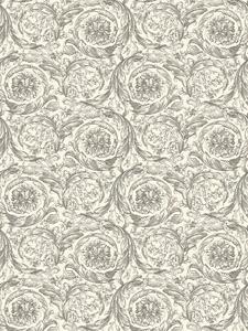 A.S. Création | Vliesová tapeta na zeď Versace 6 79135-3 | 0,53 x 10,05 m | bílá, šedá