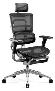 Ergonomická židle DIABLO V-MASTER: černá