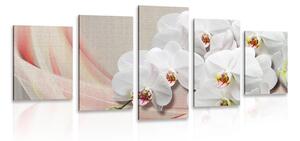 5-dílný obraz bílá orchidej na plátně Varianta: 100x50