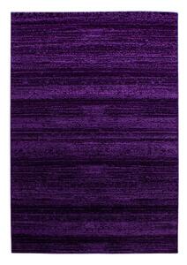 Tmavě fialový koberec 160x230 cm Plus – Ayyildiz Carpets