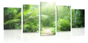 5-dílný obraz cestička na ostrově Seychely Varianta: 100x50