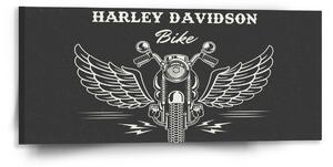 Sablio Obraz Harley-Davidson S křídly - 110x50 cm