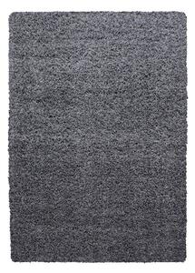 Tmavě šedý koberec 80x150 cm Life – Ayyildiz Carpets