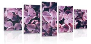 5-dílný obraz fialové květy šeříku Varianta: 200x100