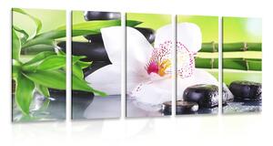 5-dílný obraz japonská orchidej
