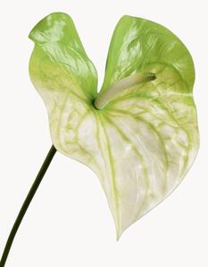 Sada umělých květin Anthurium, 2 díly