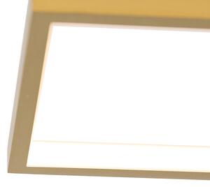Stropní svítidlo zlaté včetně LED 3-stupňové stmívatelné 4-světlo - Lejo
