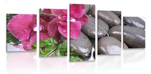 5-dílný obraz kvetoucí orchidej a wellness kameny
