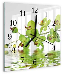 Skleněné hodiny na stěnu Orchidej zskc-30x30-00170711