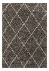 Hnědý koberec 240x340 cm Alvor – Ayyildiz Carpets