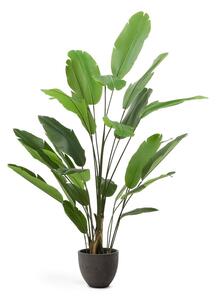 Umělý banánovník (výška 210 cm) – Kave Home