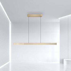 Paul Neuhaus LED závěsné svítidlo PURE-MOTO-RISE elektricky nastavitelná výška dotykový vypínač 2700-5000K zlatá imperial, d.200cm