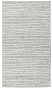 Breno Kusový koberec LOTTO 562/FM6E, 100x150 cm, Šedá