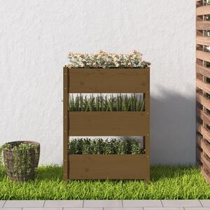 Truhlík medově hnědý 77 x 25 x 104,5 cm masivní borové dřevo