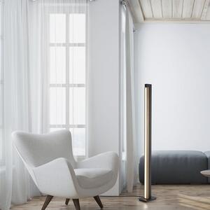 Paul Neuhaus Stojací LED lampa PURE-LINES, 24W, v. 155 cm, CCT 2700-5000K