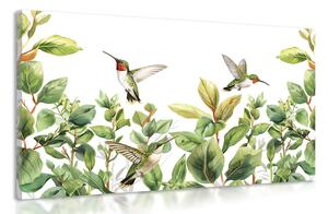 Obraz kolibříky a listy