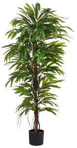 Umělá rostlina LONGIFOLIA 155 cm Zelená