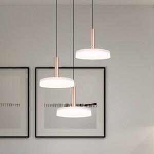 Trio Lighting Závěsné svítidlo LED Celeste, bílá/hnědá, Ø 35 cm 3 světla, sklo tlumené, stmívatelný, Bílá / opál, Obývací pokoj / jídelna, Sklo, Moderní