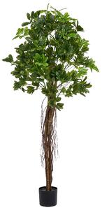 Umělá rostlina UMBRELLA TREE 175 cm Zelená