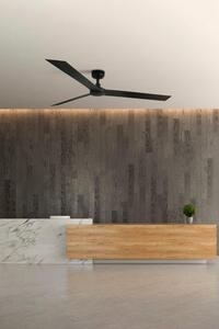 CRUISER XL stropní ventilátor, černá s DC motorem - FARO