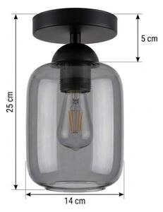 BRILAGI - LED Stropní svítidlo R GLASS 1xE27/60W/230V pr. 14 cm černá/kouř šedá