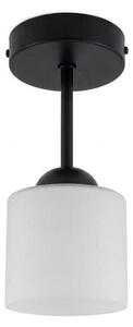BRILAGI - LED Přisazený lustr RETRO GLASS 1xE27/60W/230V pr. 10 cm černá/bílá