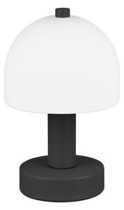 Černo-bílá stolní lampa se skleněným stínidlem (výška 19 cm) Glenn – Trio