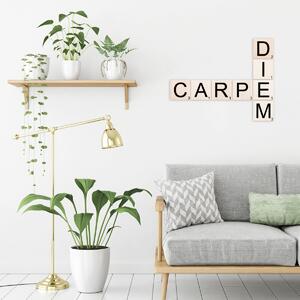 Wallity Nástěnná dřevěná dekorace CARPE DIEM bílá/černá