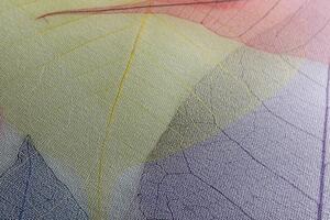 Obraz žilky na barevných listech