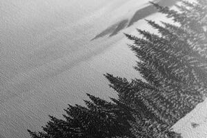 Obraz chaloupka v zasněžené přírodě v černobílém provedení